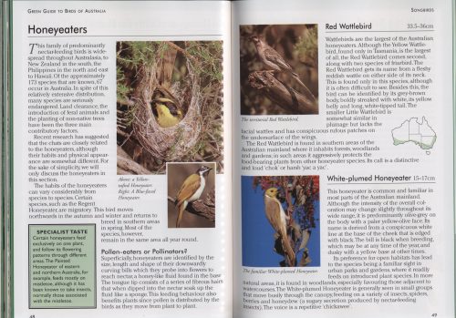 Green Guide: Parrots of Australia - Image 2