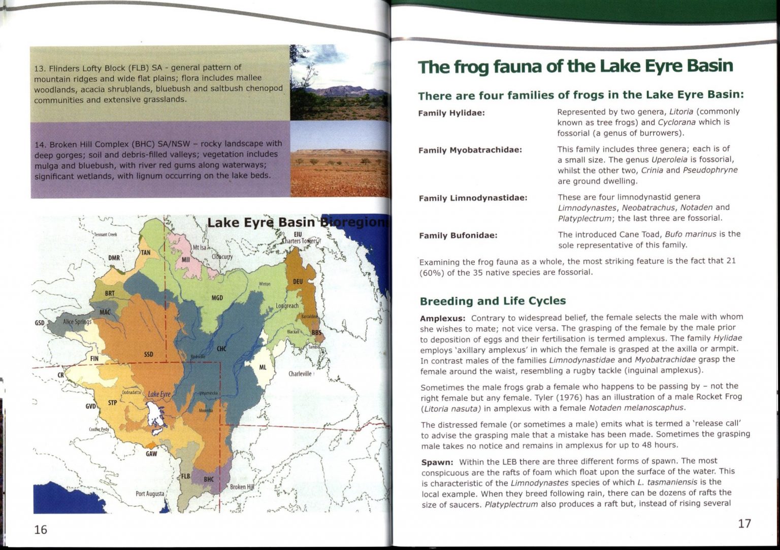 Frogs of the Lake Eyre Basin: A Field Guide - Nokomis