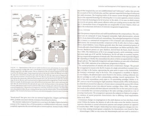 The Evolutionary Biology of Flies - Image 2