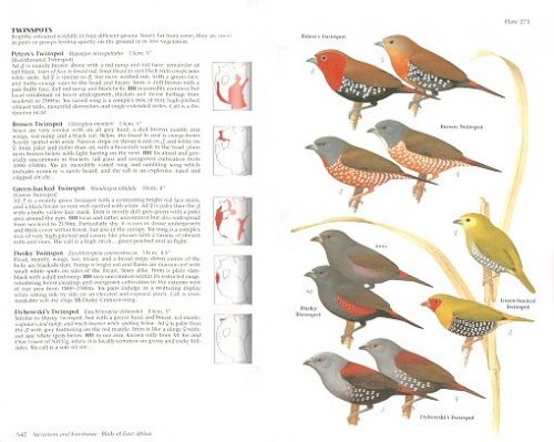 Birds of East Africa: Kenya, Tanzania, Uganda, Rwanda, Burundi (Helm Field Guide) - Image 2