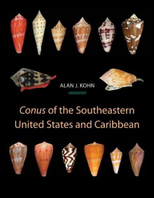 Conus of the Southeastern United States and Caribbean