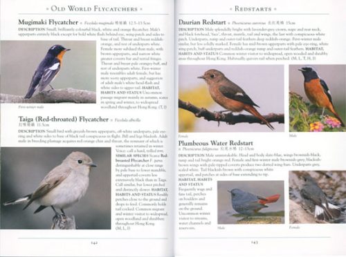 A Naturalist's Guide to the Birds of Hong Kong - Image 2