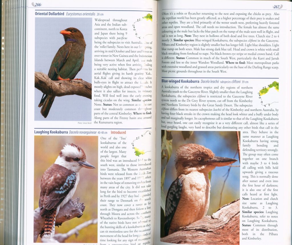 field guide to the birds of australia pdf