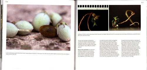 Discovering Australian Flora:  An Australian National Botanic Gardens Experience (Second Edition) - Image 3