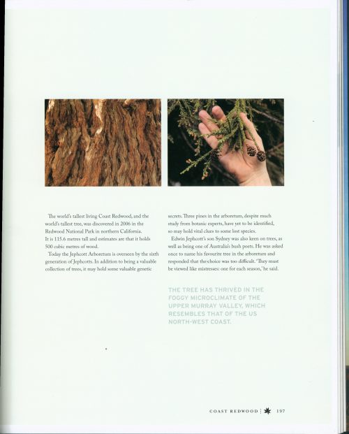 Australia's Remarkable Trees (New Edition). - Image 3