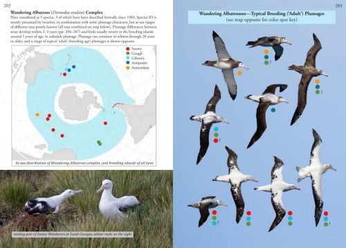 Oceanic Birds of the World:  A Photo Guide - Image 3