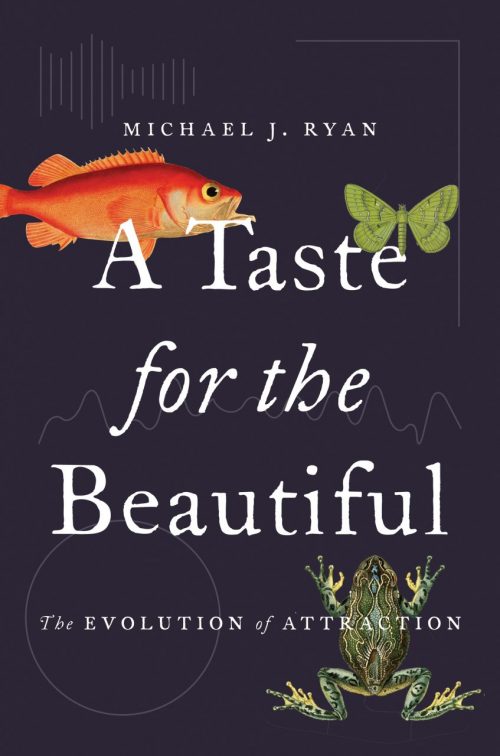 A Taste for the Beautiful: The Evolution of Attraction