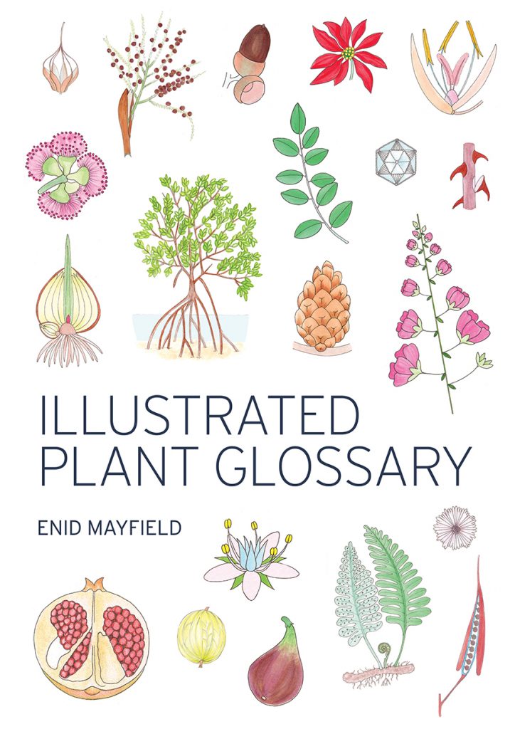 plant identification terminology an illustrated glossary pdf download