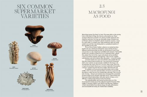 The Future is Fungi: How Fungi Can Feed Us, Heal Us, Free Us and Save Our World - Image 4