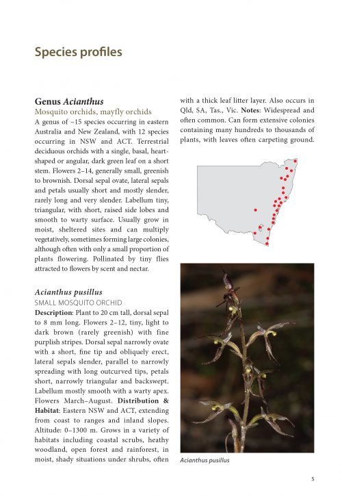 Guide to Native Orchids of NSW and ACT - Image 4