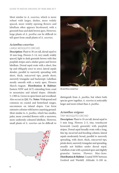 Guide to Native Orchids of NSW and ACT - Image 3