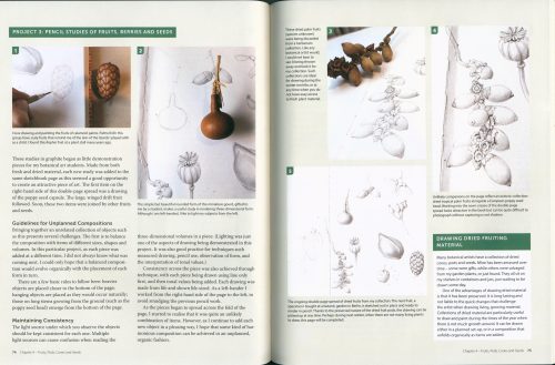 Botanical Sketchbooks: An Artist's Guide to Plant Studies - Image 2