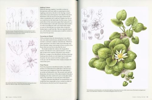 Botanical Sketchbooks: An Artist's Guide to Plant Studies - Image 5