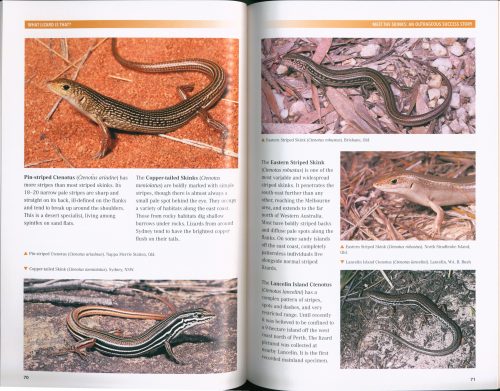 What Lizard is That? Introducing Australian Lizards (Second Edition) - Image 3