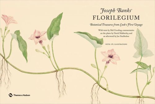 Joseph Banks' Florilegium: Botanical Treasures from Cook's First Voyage - Image 6