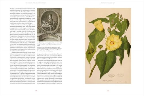 Joseph Banks' Florilegium: Botanical Treasures from Cook's First Voyage - Image 2