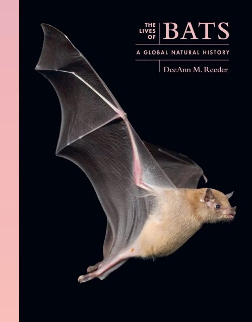 The Lives of Bats: A Global Natural History