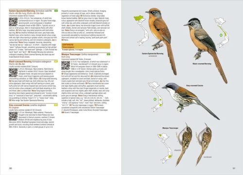 Birds of Vietnam (2nd Edition) - Image 2